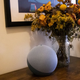 A photo of an Amazon Echo